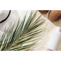 CANVAS PRINT SUMMER STILL LIFE - STILL LIFE PICTURES - PICTURES