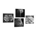 CANVAS PRINT SET WILD ANIMALS IN BLACK AND WHITE - SET OF PICTURES - PICTURES