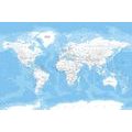 CANVAS PRINT STYLISH WORLD MAP - PICTURES OF MAPS - PICTURES