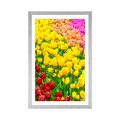 POSTER MIT PASSEPARTOUT GARTEN VOLLER TULPEN - BLUMEN - POSTER