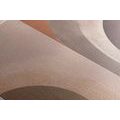CANVAS PRINT ABSTRACT SHAPES NO11 - PICTURES OF ABSTRACT SHAPES - PICTURES