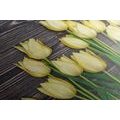 CANVAS PRINT CHARMING YELLOW TULIPS ON A WOODEN BACKGROUND - PICTURES FLOWERS - PICTURES