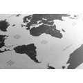 DECORATIVE PINBOARD WORLD MAP WITH INDIVIDUAL STATES IN GRAY COLOR - PICTURES ON CORK - PICTURES