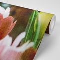 SELF ADHESIVE WALLPAPER MEADOW OF TULIPS IN RETRO STYLE - SELF-ADHESIVE WALLPAPERS - WALLPAPERS