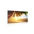 CANVAS PRINT SUNRISE ON A CARIBBEAN BEACH - PICTURES OF NATURE AND LANDSCAPE - PICTURES