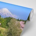 SAMOLEPÍCÍ FOTOTAPETA SOPKA FUJI - SAMOLEPÍCÍ TAPETY - TAPETY