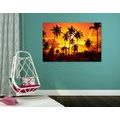 CANVAS PRINT OF COCONUT PALMS ON THE BEACH - PICTURES OF NATURE AND LANDSCAPE{% if product.category.pathNames[0] != product.category.name %} - PICTURES{% endif %}