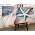 TABLEAU SUR TOILE – ÉTOILE DE MER SUR LA PLAGE - TABLEAUX DE NATURES MORTES - TABLEAUX