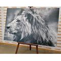 CANVAS PRINT AFRICAN LION IN BLACK AND WHITE - BLACK AND WHITE PICTURES - PICTURES