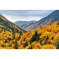 FOTOTAPETE BLICK AUF MAJESTÄTISCHE BERGE - TAPETEN MIT NATURMOTIVEN - TAPETEN