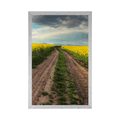 POSTER SUNSET OVER A FIELD IN SLOVAKIA - NATURE - POSTERS