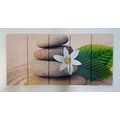 QUADRO IN 5 PARTI FIORE E PIETRE SULLA SABBIA - QUADRI FENG SHUI - QUADRI