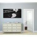 CANVAS PRINT SPA STILL LIFE WITH YIN AND YANG SYMBOL IN BLACK AND WHITE - BLACK AND WHITE PICTURES - PICTURES