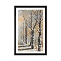 POSTER MIT PASSEPARTOUT WINTERBAUMALLEE - NATUR - POSTER