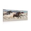 CANVAS PRINT HERD OF HORSES - PICTURES OF ANIMALS - PICTURES
