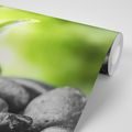 PAPIER PEINT PANORAMIQUE ADHÉSIF – COMPOSITION ZEN MÉDITATIVE - PAPIERS PEINTS - 🔥 VENTE TOTALE