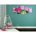 5-PIECE CANVAS PRINT ORCHID WITH A HINT OF RELAXATION - PICTURES FENG SHUI - PICTURES