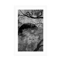 POSTER WITH MOUNT SURREALISTIC TREES IN BLACK AND WHITE - BLACK AND WHITE - POSTERS