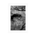 POSTER – ALBERI SURREALISTI IN BIANCO E NERO - NERO E BIANCO - POSTER