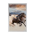 POSTER HERD OF HORSES - ANIMALS - POSTERS