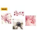 CANVAS PRINT SET DELICACY OF FLOWERS - SET OF PICTURES - PICTURES