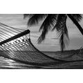 CANVAS PRINT HAMMOCK ON THE BEACH IN BLACK AND WHITE - BLACK AND WHITE PICTURES - PICTURES