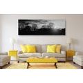 CANVAS PRINT BEAUTIFUL SUNSET IN BLACK AND WHITE - BLACK AND WHITE PICTURES - PICTURES