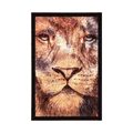 AFFICHE VISAGE DE LION - LES ANIMAUX - AFFICHES