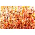 SELF ADHESIVE WALLPAPER DANDELION IN SHADES OF ORANGE - SELF-ADHESIVE WALLPAPERS - WALLPAPERS