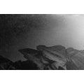 CANVAS PRINT STARRY SKY ABOVE THE ROCKS IN BLACK AND WHITE - BLACK AND WHITE PICTURES - PICTURES