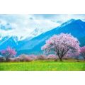 SELF ADHESIVE WALL MURAL MAGICAL TREE IN THE MIDDLE OF THE MOUNTAINS - SELF-ADHESIVE WALLPAPERS - WALLPAPERS