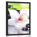 POSTER JAPANISCHE ORCHIDEE - FENG SHUI - POSTER