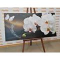 WANDBILD ORCHIDEE UND SCHMETTERLING - BILDER BLUMEN - BILDER