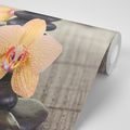 WALL MURAL ORCHID AND ZEN STONES - WALLPAPERS FENG SHUI - WALLPAPERS