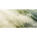 TABLEAU SUR TOILE – FORÊT BRUMEUSE - TABLEAUX DE LA NATURE ET DES PAYSAGES - TABLEAUX