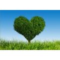 WALLPAPER HEART-SHAPED TREE - WALLPAPERS NATURE - WALLPAPERS