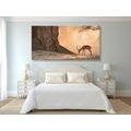 CANVAS PRINT BEAUTIFUL AFRICAN ANTELOPE - PICTURES OF ANIMALS{% if product.category.pathNames[0] != product.category.name %} - PICTURES{% endif %}