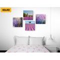 CANVAS PRINT SET LAVENDER BEAUTY - SET OF PICTURES - PICTURES