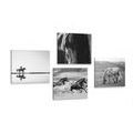 CANVAS PRINT SET FOR HORSE LOVERS IN BLACK AND WHITE - SET OF PICTURES - PICTURES