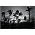TAPETA KOKOSOVÉ PALMY NA PLÁŽI V ČERNOBÍLÉM - ČERNOBÍLÉ TAPETY - TAPETY