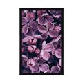 AFFICHE FLEURS DE LILAS VIOLET - FLEURS - AFFICHES