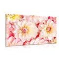CANVAS PRINT DELICATE DAHLIA FLOWERS - PICTURES FLOWERS - PICTURES