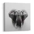 OBRAZ SLONÍ SÍLA A KLID - OBRAZY SLONI - OBRAZY