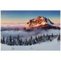 SELF ADHESIVE WALL MURAL ROZSUTEC IN A BLANKET OF SNOW - SELF-ADHESIVE WALLPAPERS - WALLPAPERS