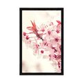 POSTER PINK CHERRY BLOSSOMS - FLOWERS - POSTERS