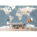 CARTA DA PARATI AUTOADESIVA – MAPPA DEL MONDO VINTAGE STILOSA - CARTA DA PARATI AUTOADESIVE - CARTA DA PARATI