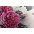 CANVAS PRINT OF ROSES IN BLOOM - VINTAGE AND RETRO PICTURES - PICTURES