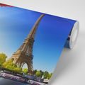 WALL MURAL AUTUMN PARIS - WALLPAPERS CITIES - WALLPAPERS