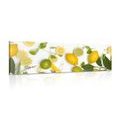 CANVAS PRINT BLEND OF CITRUS FRUITS - PICTURES OF FOOD AND DRINKS - PICTURES