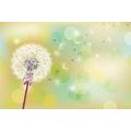 SELF ADHESIVE WALLPAPER YELLOW DANDELION WITH AN ABSTRACT BACKGROUND - SELF-ADHESIVE WALLPAPERS - WALLPAPERS